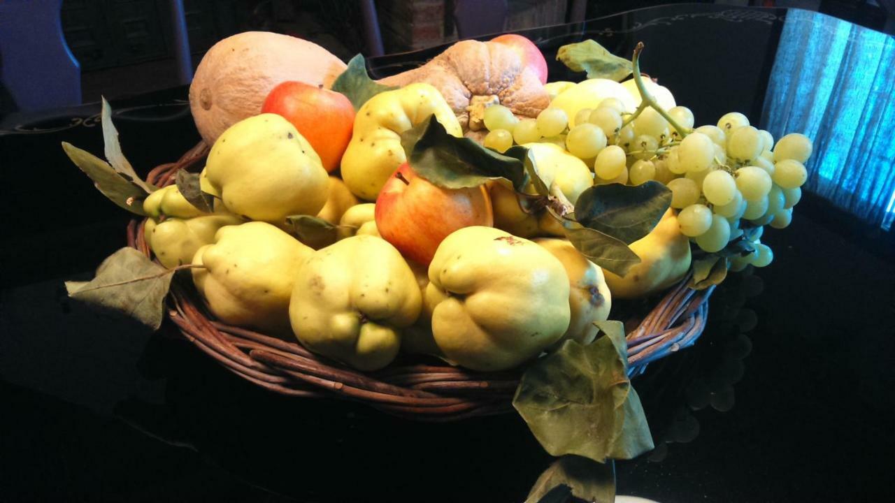 Corte Di Maggio Imola